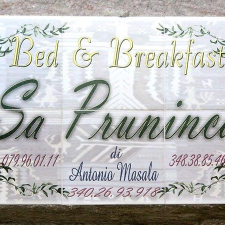 Sa Pruninca Acomodação com café da manhã Villanova Monteleone Exterior foto